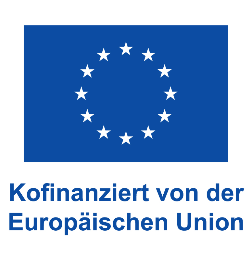 Erasmus 
